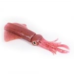 Plum Squid UV