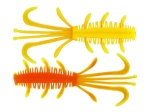 Yellow/Orange