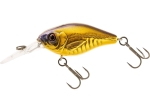 Gold Shad