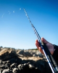 Westin W8 Rockshore Apex Predator 2nd