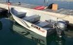 Alumacraft T12V Лодка цена