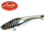 Anchovy Venus