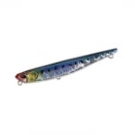 Bay Ruf Manic Fish 77 CPB0054 Genkai Sardine