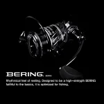 NS Black Hole Finesse Bering 3