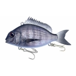 03 - Black Sea Bream