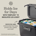 Coleman Convoy 55QT