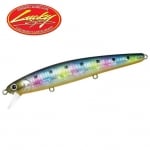 Candy Sardine SW