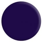 Pro-Tec Powder Paint Standard Боя за джиг глава Deep Purple