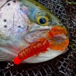 Westin CreCraw Slim Creaturebait 5.5cm