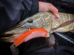 Fiiish Black Minnow No5 Combo - 16cm, 90g