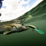 Rapala Gold Miner 12cm