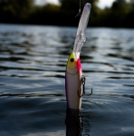 Rapala Gold Miner 12cm