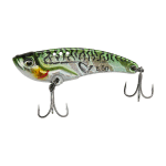 Green Mackerel