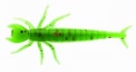 Swimy Larva E42