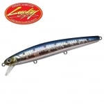 MS Sundown Sardine SW