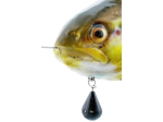 Westin Tommy The Trout Inline