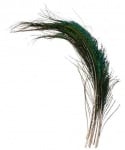 JMC Fly Fishing Peafowl feather Перо паун Топ
