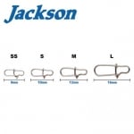 Jackson Classic Snap 2