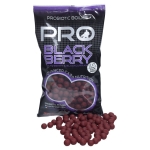 Starbaits Blackberry Probiotic Boilies