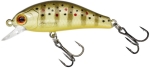 Wild Trout