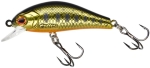 Acid Trout Gold