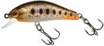 Orange Tag Trout