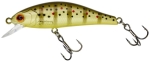 Wild Trout