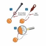 Stonfo Bait Holder Kit art. 140 4