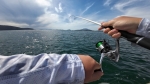 Filstar Speranza Light Cast Spin 2.62m