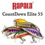 Rapala CountDown Elite 5.5cm