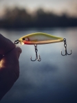 Rapala Shadow Rap Solid Shad