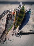 Rapala Shadow Rap Solid Shad