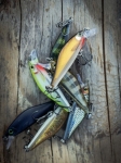 Rapala Shadow Rap Solid Shad