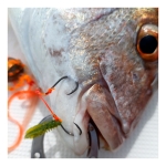 Tailwalk Tai Game T.R.B Ring Assist Hook